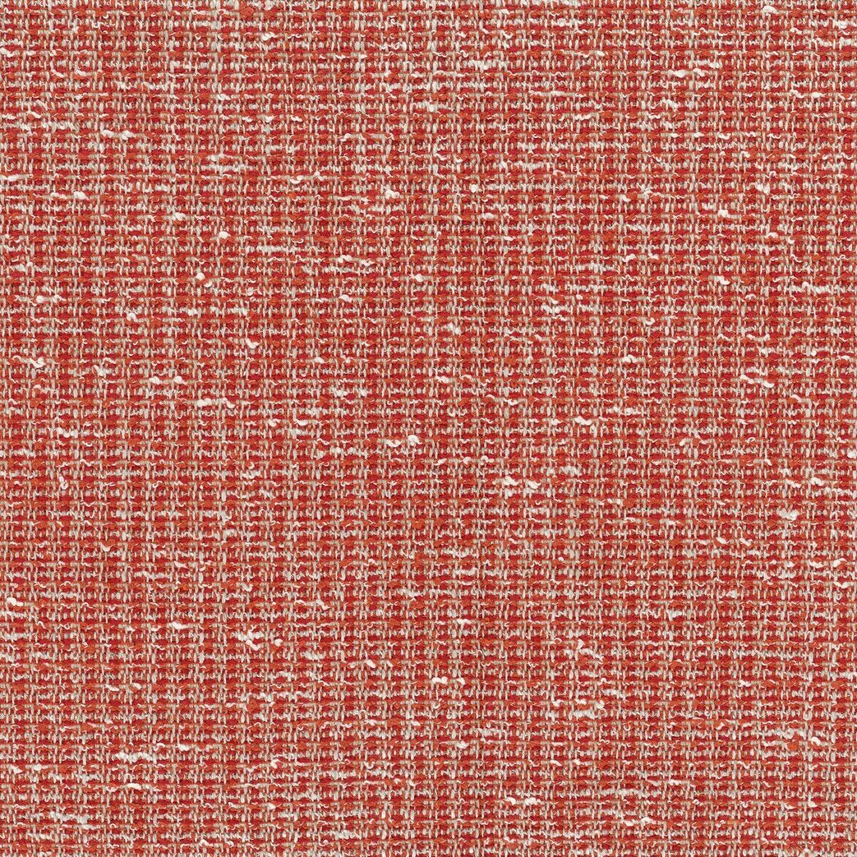 Bulet Fabric - Coral by orange plain woven fabric from Nina Campbell