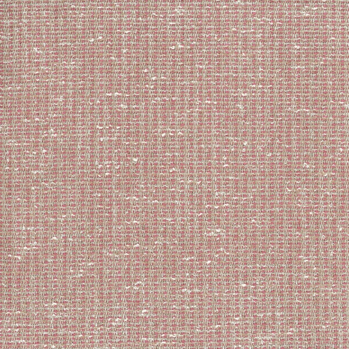 Bulet Fabric - Pink by pink plain woven fabric from Nina Campbell
