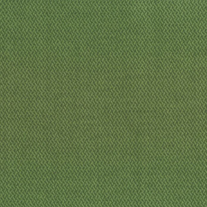 Terra Fabric - Apple Green swatch
