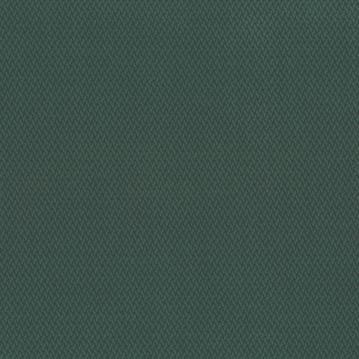 Terra Fabric - Pine by green plain woven fabric from Osborne & Little