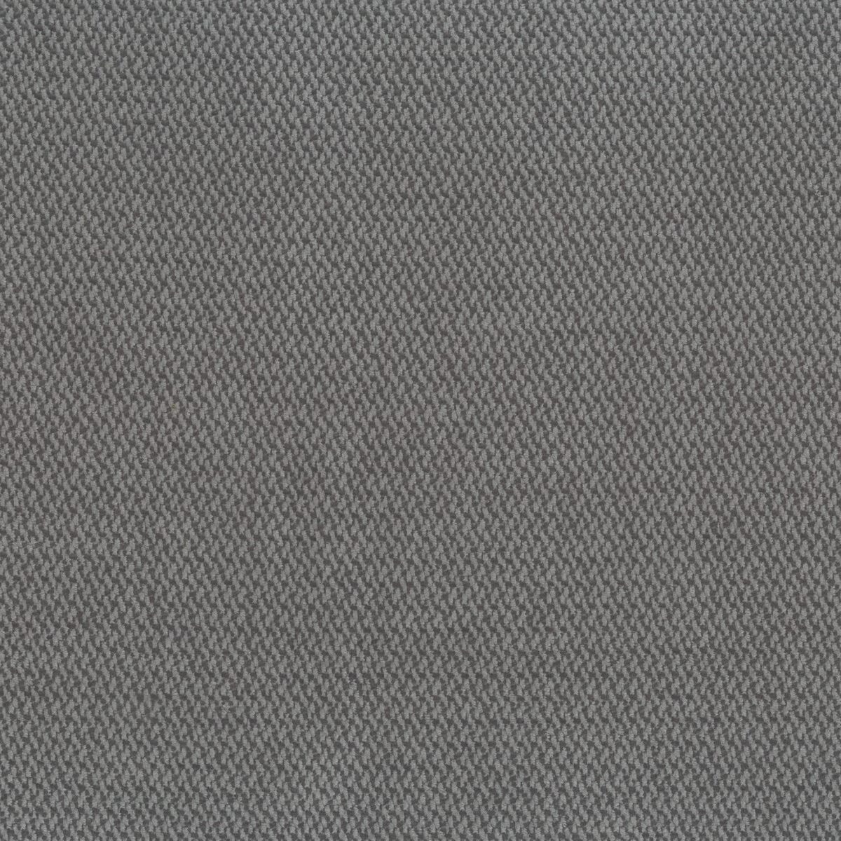 Terra Fabric - Slate by black-grey plain woven fabric from Osborne & Little