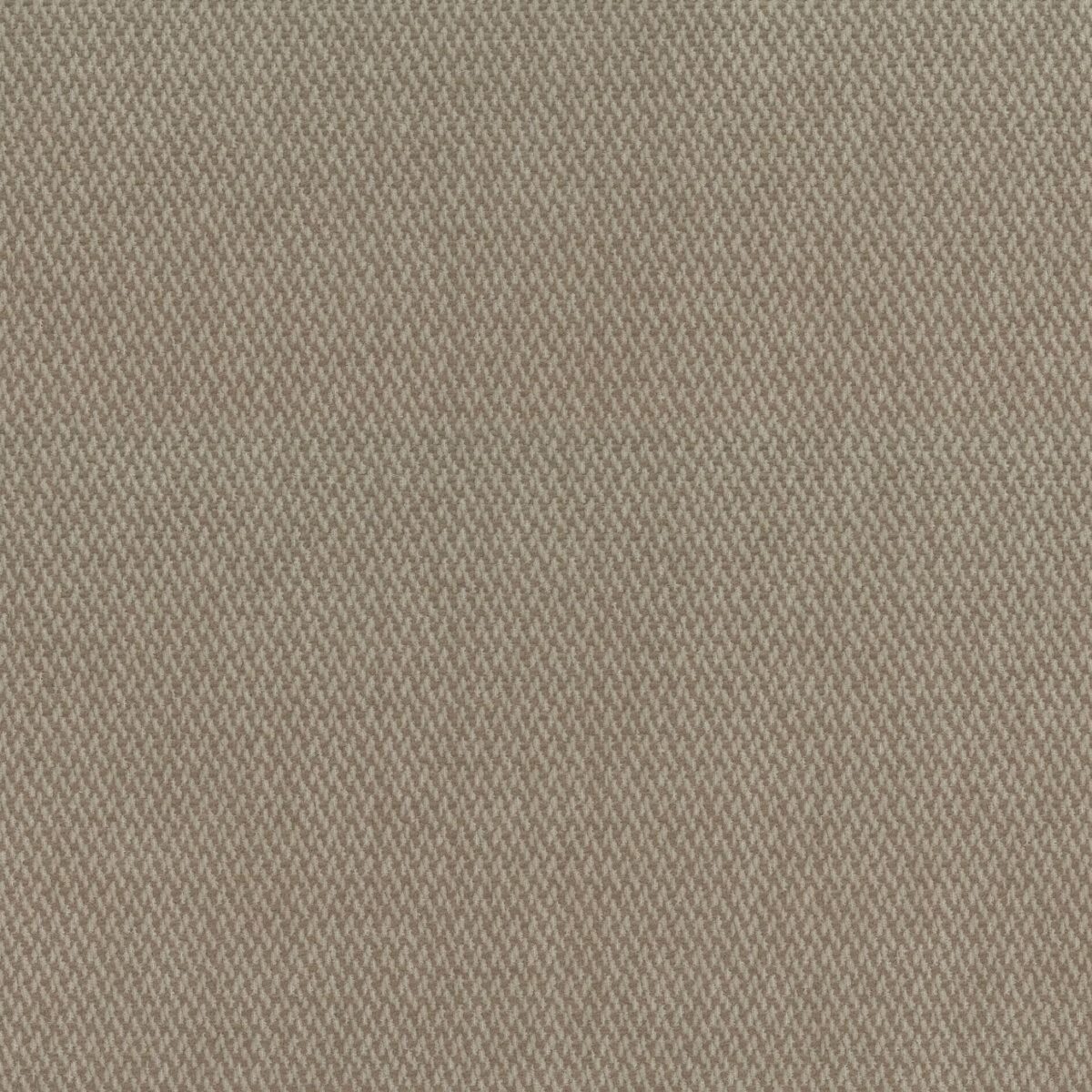 Terra Fabric - Straw by neutral plain woven fabric from Osborne & Little