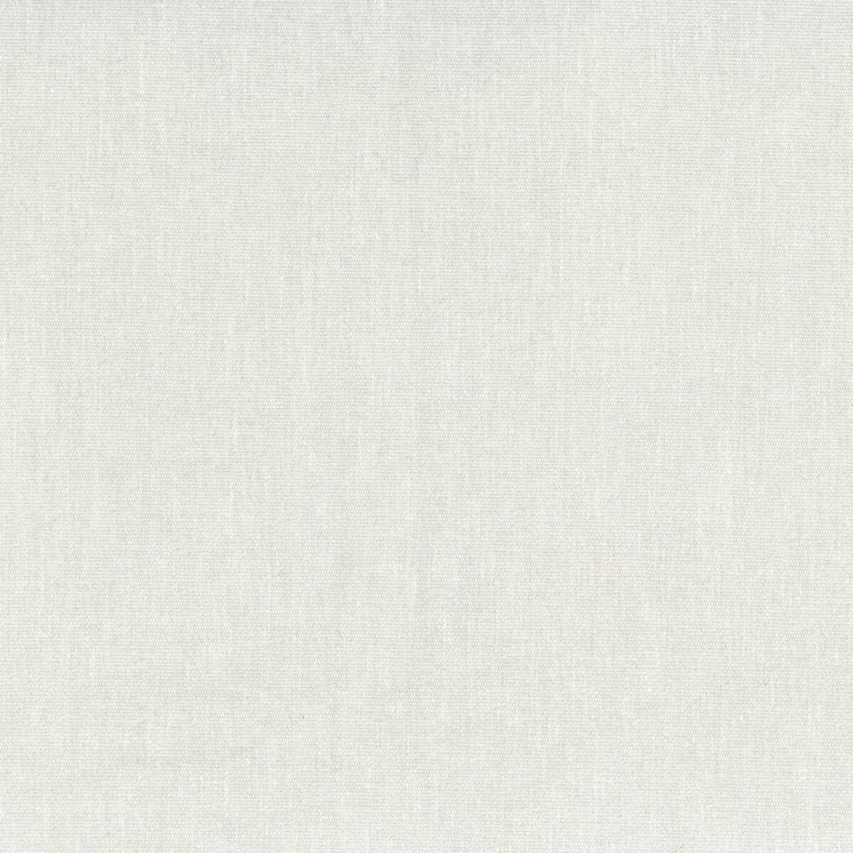 Firma Fabric - Snow by white plain velvet-chenille fabric from Osborne & Little