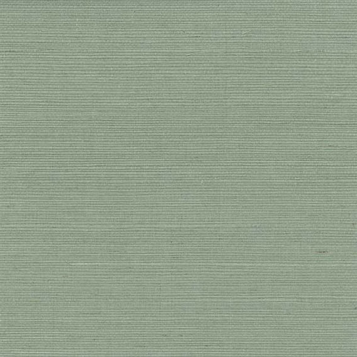 Kanoko Grasscloth Wallcovering - Celadon by #N/A