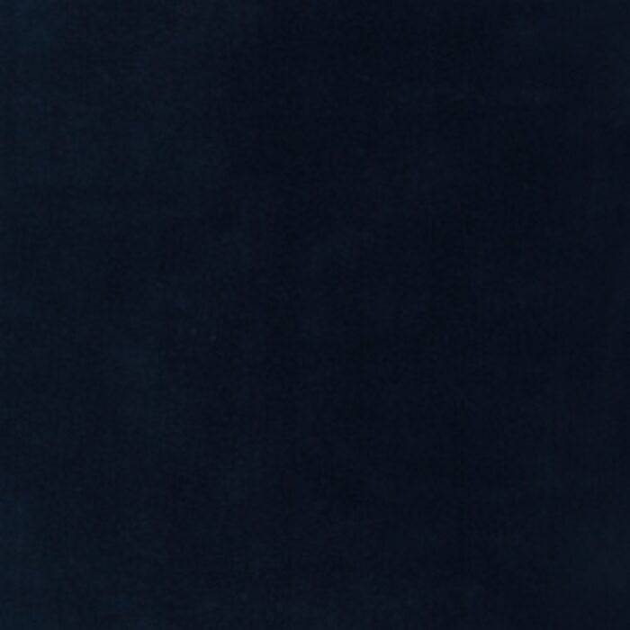 Columbia Fabric - Navy swatch