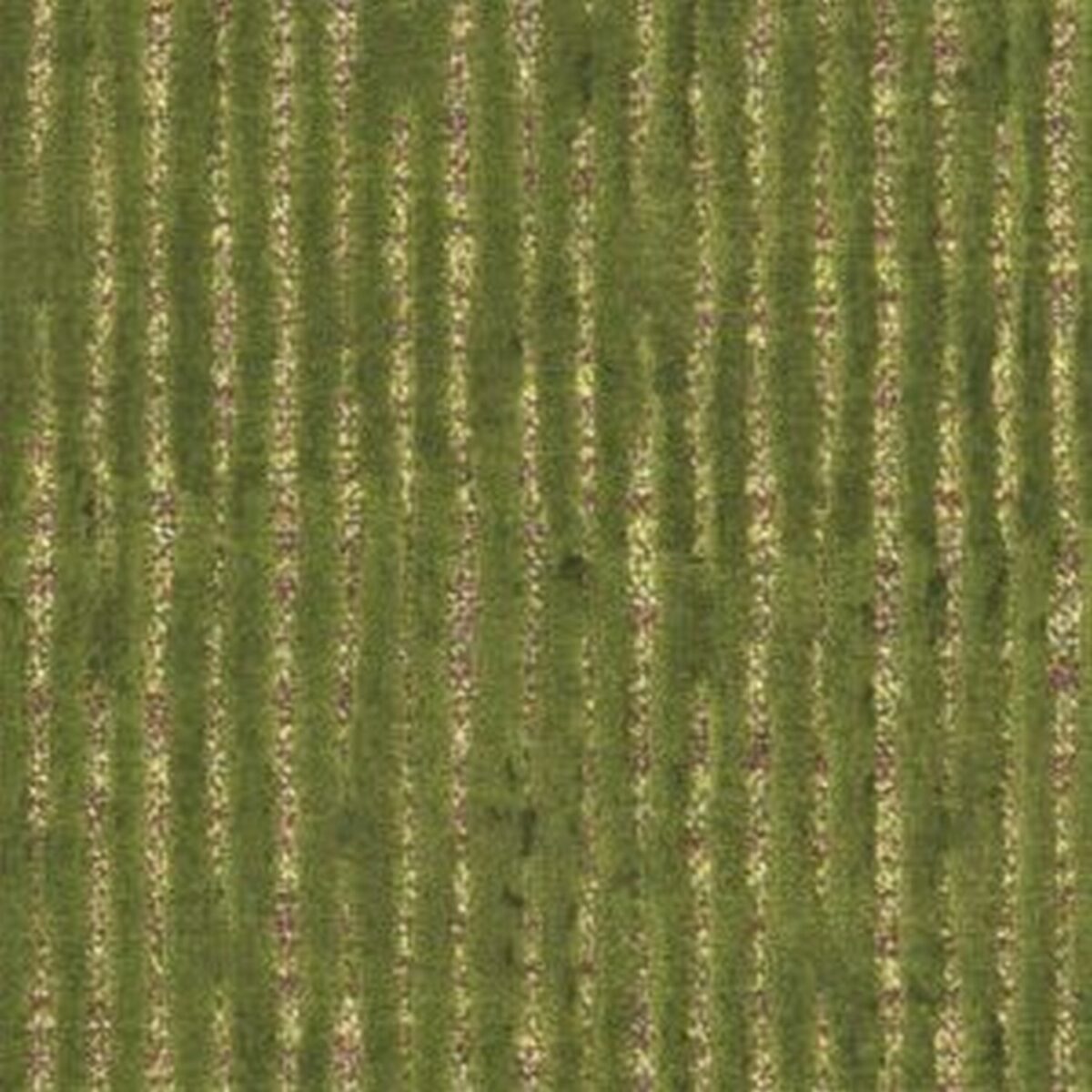 Soho Fabric - Chive by green striped velvet-chenille fabric from Wemyss