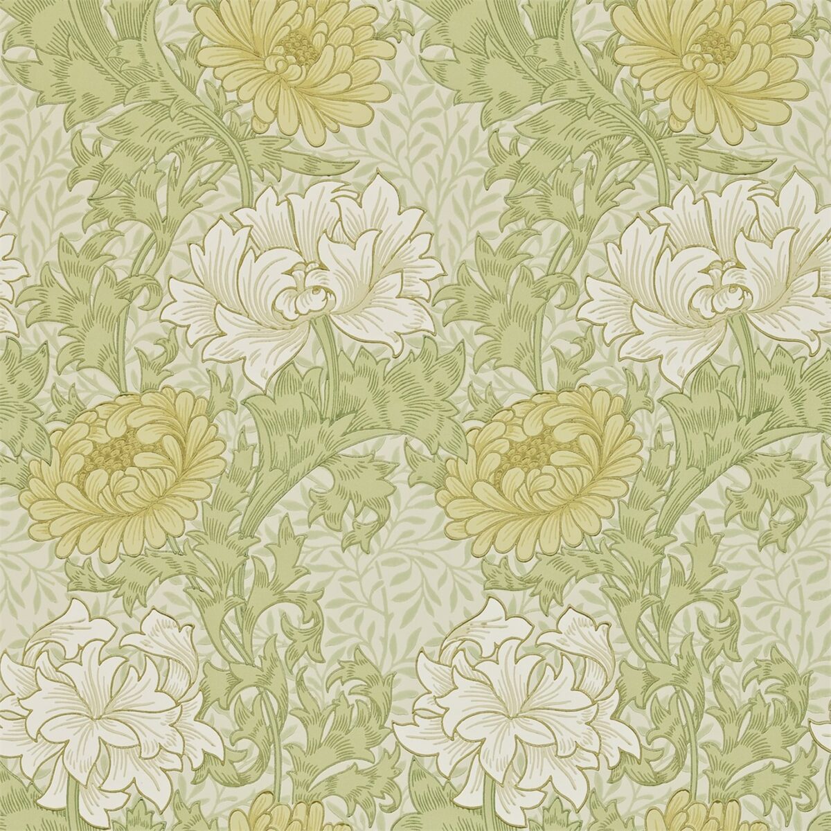 Chrysanthemum Wallpaper - Pale Olive by green botanical wallpaper from william morris & co