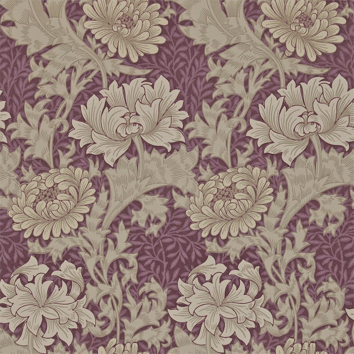 Chrysanthemum Wallpaper - Wine by purple botanical wallpaper from william morris & co