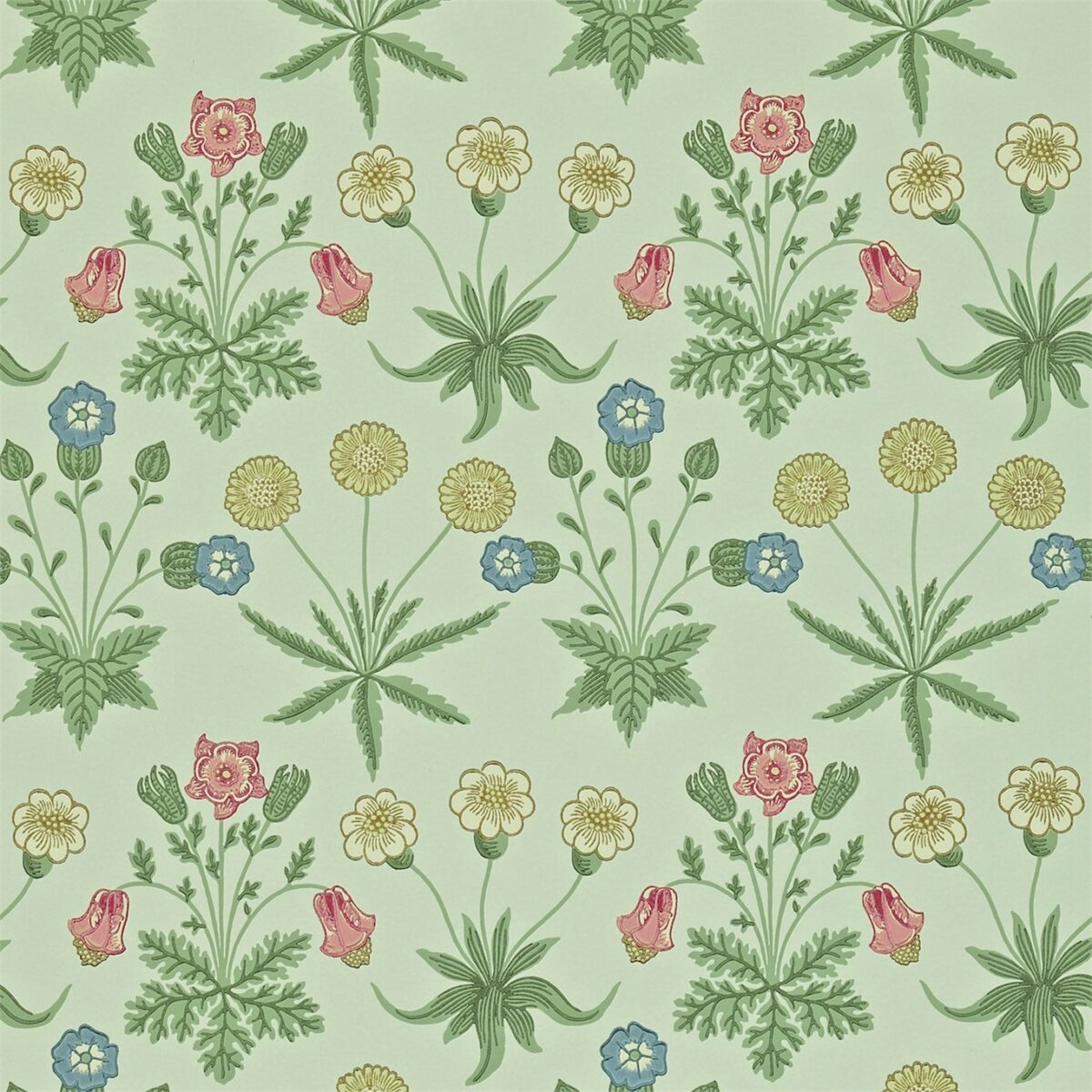 Daisy Wallpaper - Pale Green / Rose by green botanical wallpaper from william morris & co