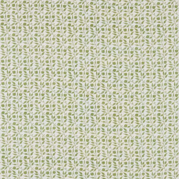Rosehip Fabric - Thyme swatch