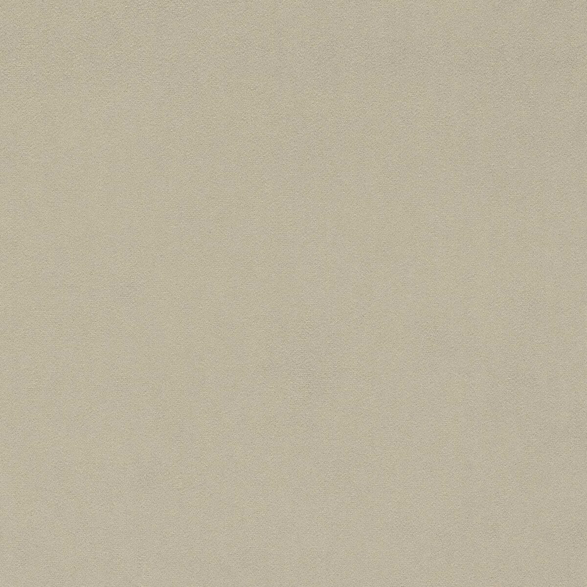Wardle Velvet Fabric - Fired Biscuit by neutral plain velvet-chenille fabric from William Morris & Co