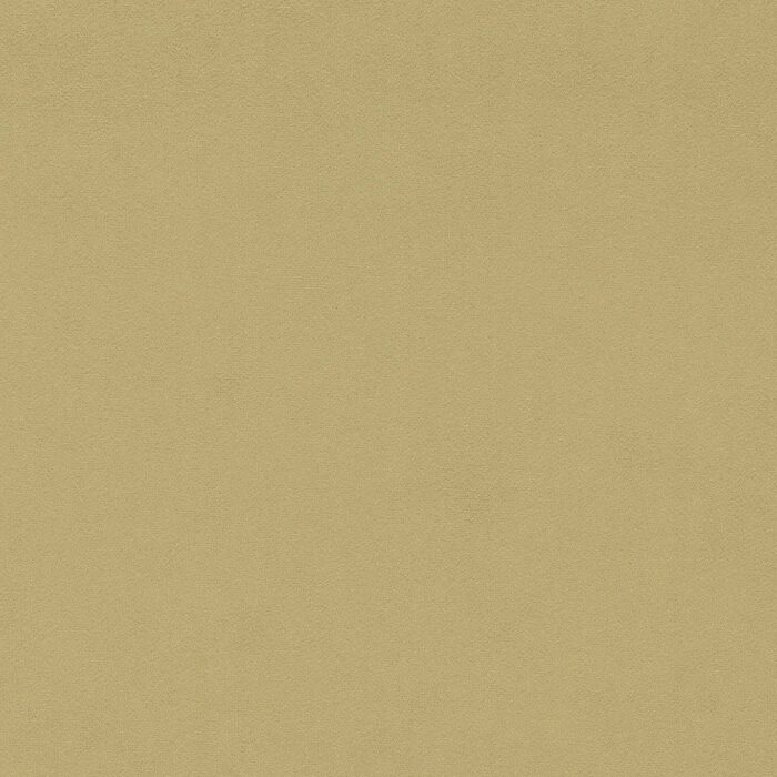 Wardle Velvet Fabric - Citrus Stone swatch