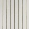 green striped woven fabric from Designers Guild