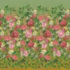 pink botanical wallpaper from designers guild