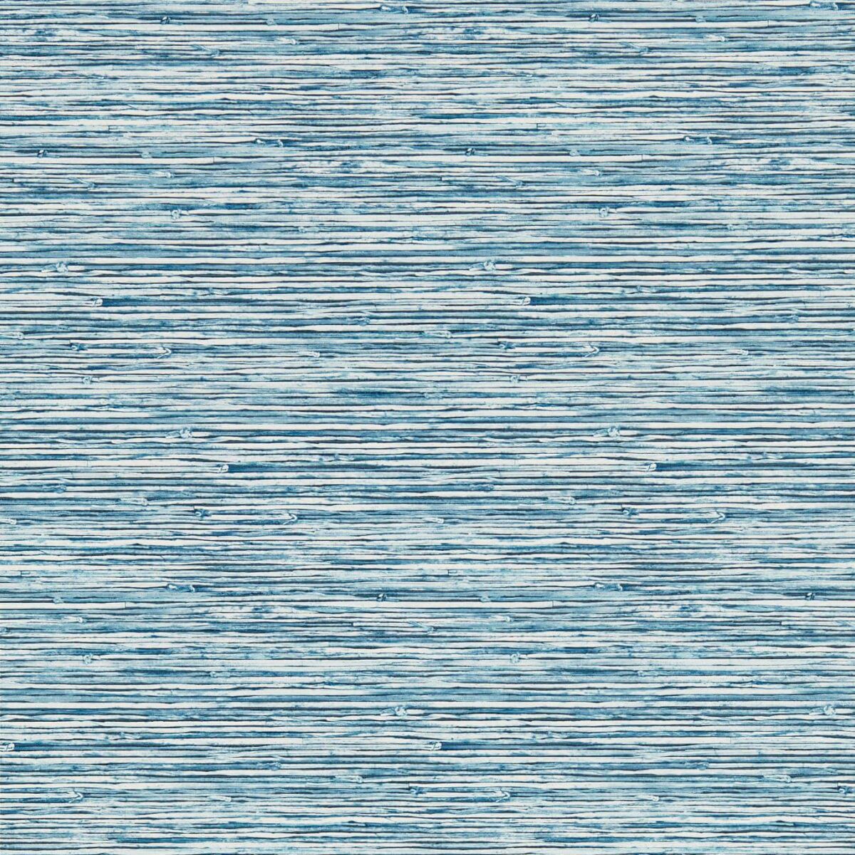 Xan Wallpaper - Caribbean by blue contemporary wallpaper from clarke & clarke