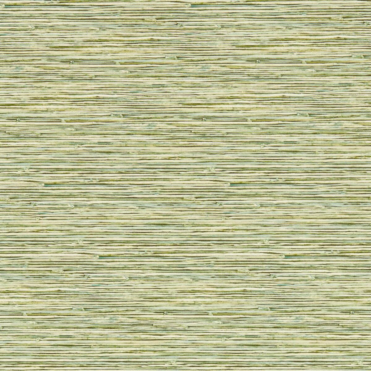 Xan Wallpaper - Palm by green contemporary wallpaper from clarke & clarke