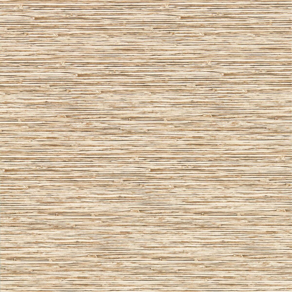 Xan Wallpaper - Sahara by neutral contemporary wallpaper from clarke & clarke