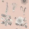 pink botanical wallpaper from clarke & clarke