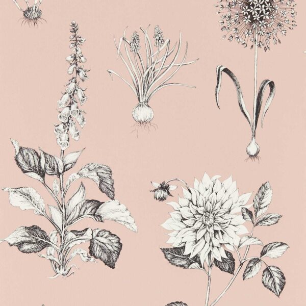 Roseraie Wallpaper - Blush by pink botanical wallpaper from clarke & clarke