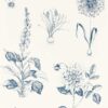 blue botanical wallpaper from clarke & clarke