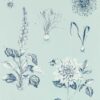 blue botanical wallpaper from clarke & clarke