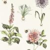 green botanical wallpaper from clarke & clarke
