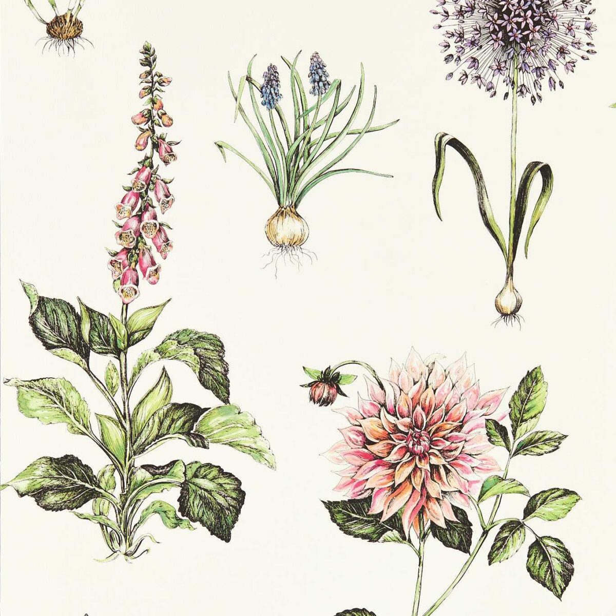 Roseraie Wallpaper - Summer by green botanical wallpaper from clarke & clarke