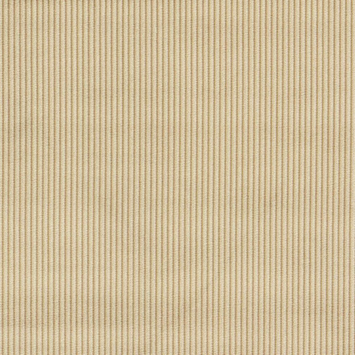 Ashdown Fabric - Antique by neutral plain velvet-chenille fabric from Clarke & Clarke