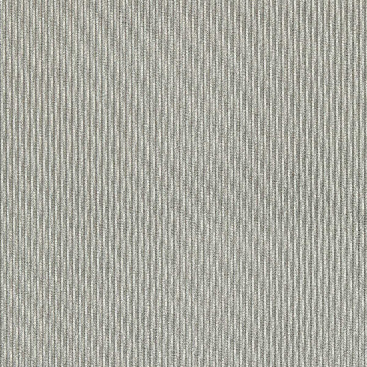 Ashdown Fabric - Graphite by black-grey plain velvet-chenille fabric from Clarke & Clarke