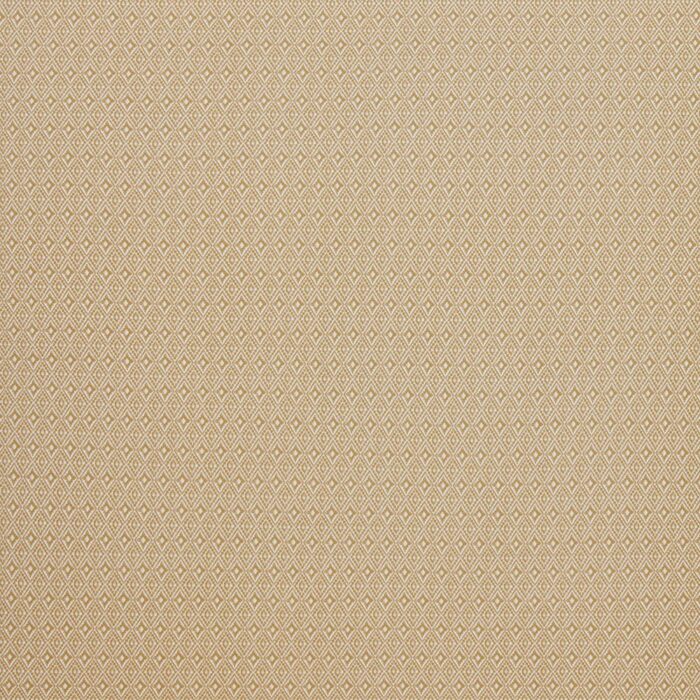 Aztec Fabric - Ochre swatch
