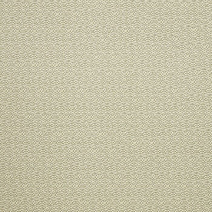 Aztec Fabric - Pampas swatch