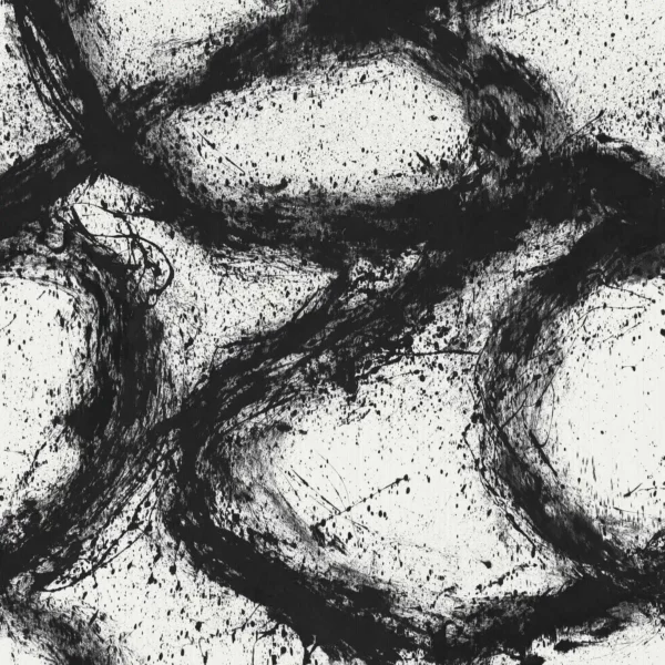 Enigmatic Wallcovering - Black Earth / First Light by black-grey contemporary wallpaper from harlequin