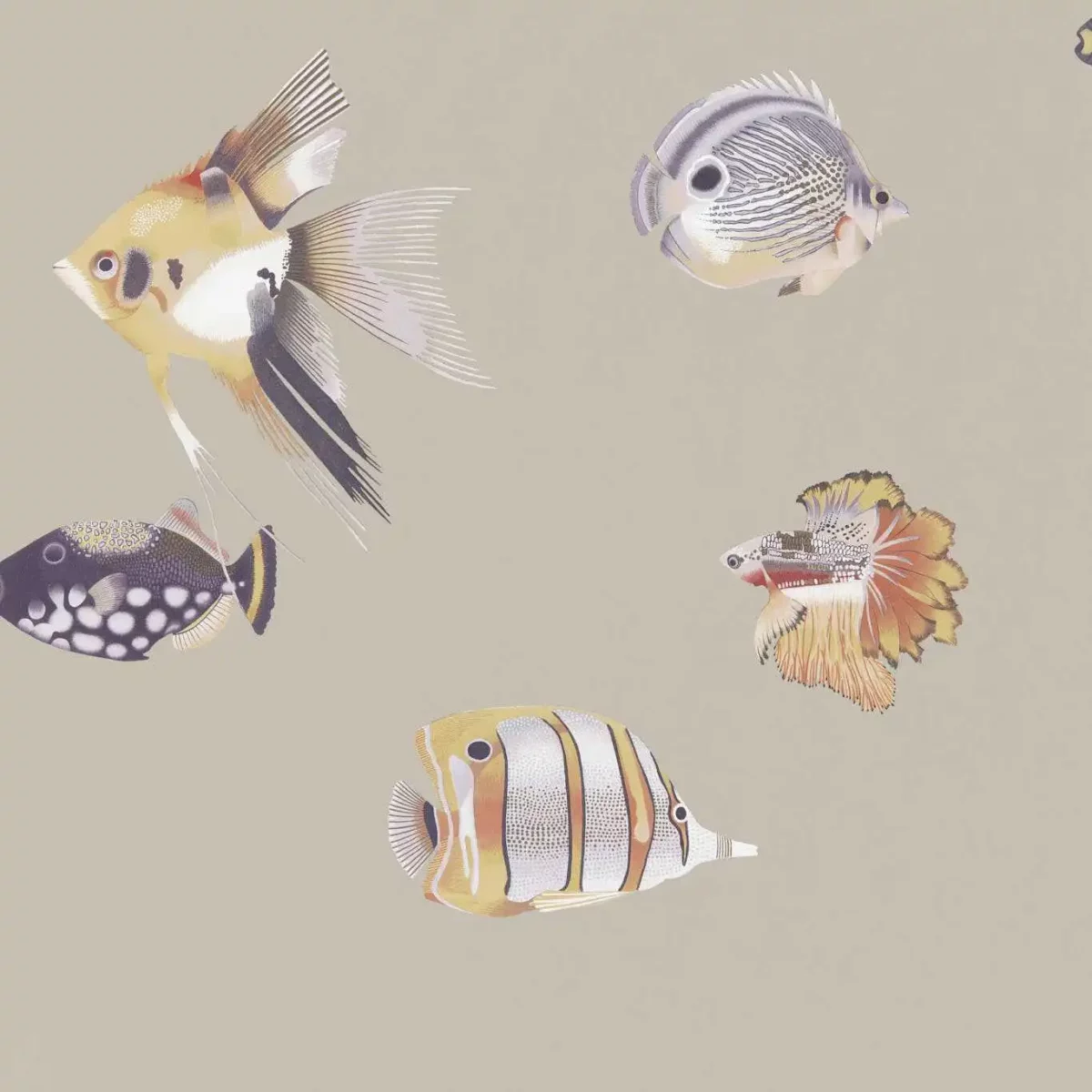 Kamanu Wallcovering - Mandarin / Fig by black-grey animal wallpaper from harlequin