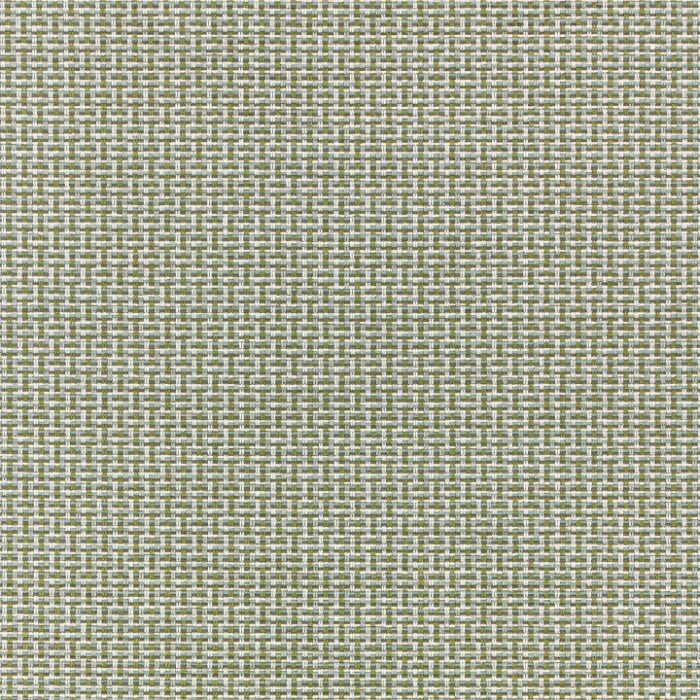 Kiku Fabric - Fern swatch