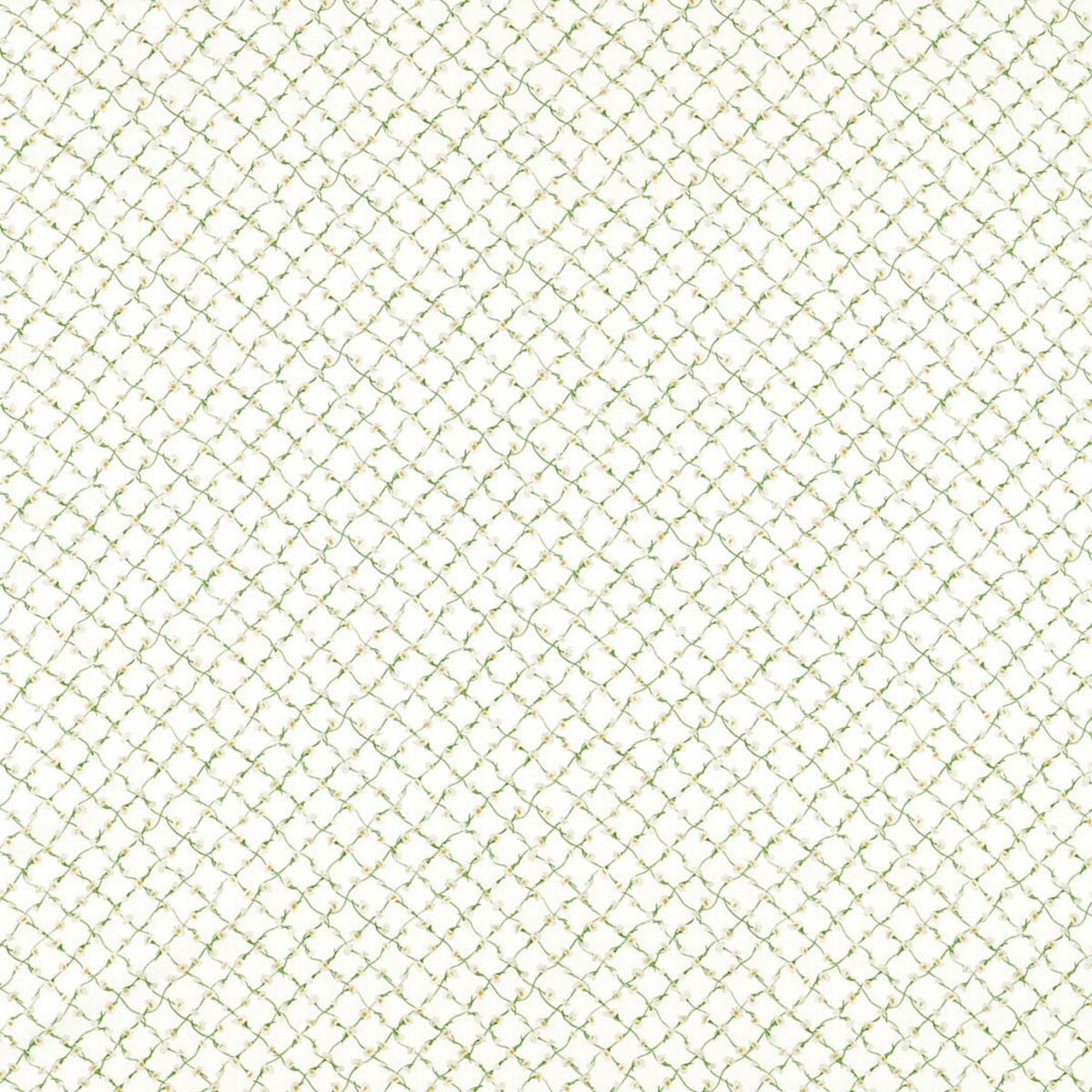 Daisy Trellis Fabric - Emerald / Pearl from