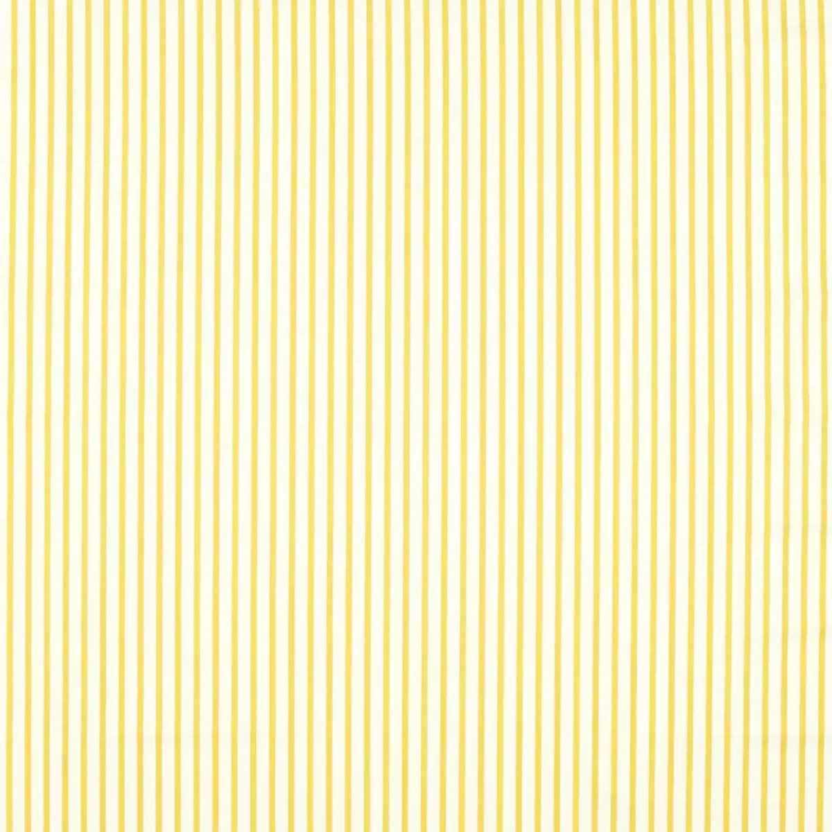 Ribbon Stripe Fabric - Citrine by yellow striped cotton fabric from Harlequin