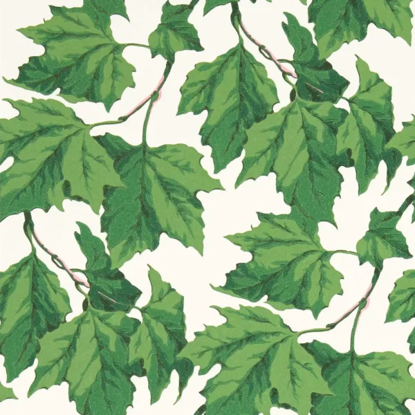 Dappled Leaf Wallpaper - Emerald by green botanical wallpaper from harlequin