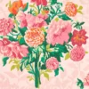 pink botanical wallpaper from harlequin