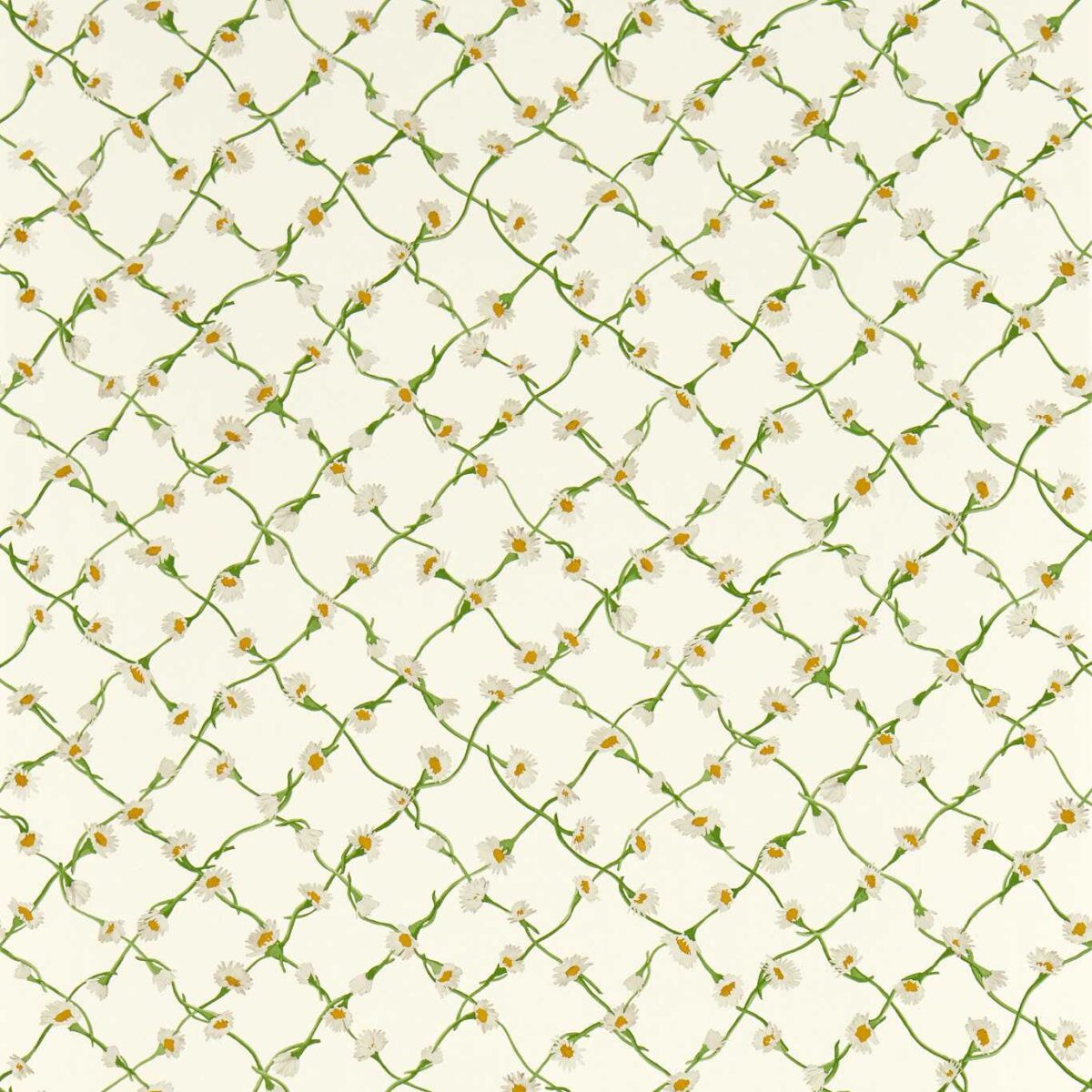 Daisy Trellis Wallpaper - Emerald / Pearl by Daisy Trellis Wallpaper - Emerald / Pearl from
