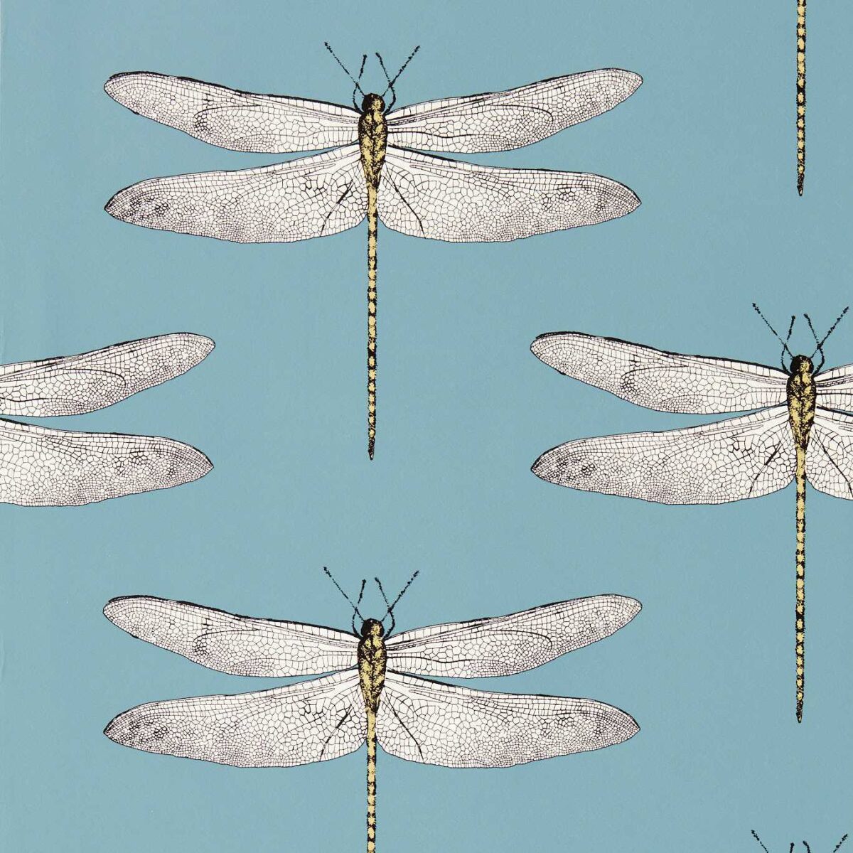 Demoiselle Wallcovering - Cornflower / First Light / Honey by Demoiselle Wallcovering - Cornflower / First Light / Honey from
