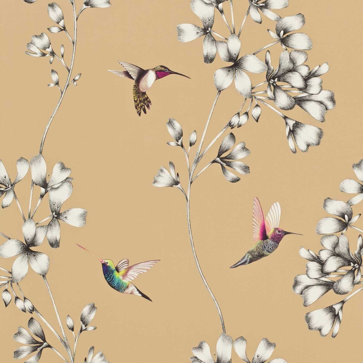 Amazilia Wallcovering - Bronze by Amazilia Wallcovering - Bronze from