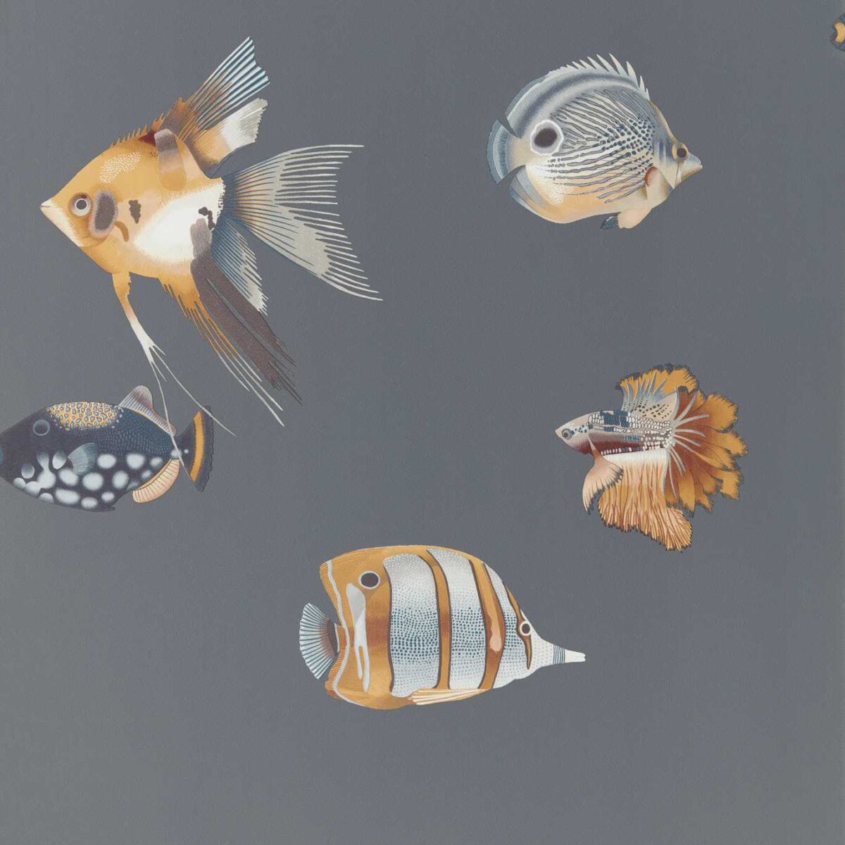 Kamanu Wallcovering - Amber / Slate by Kamanu Wallcovering - Amber / Slate from