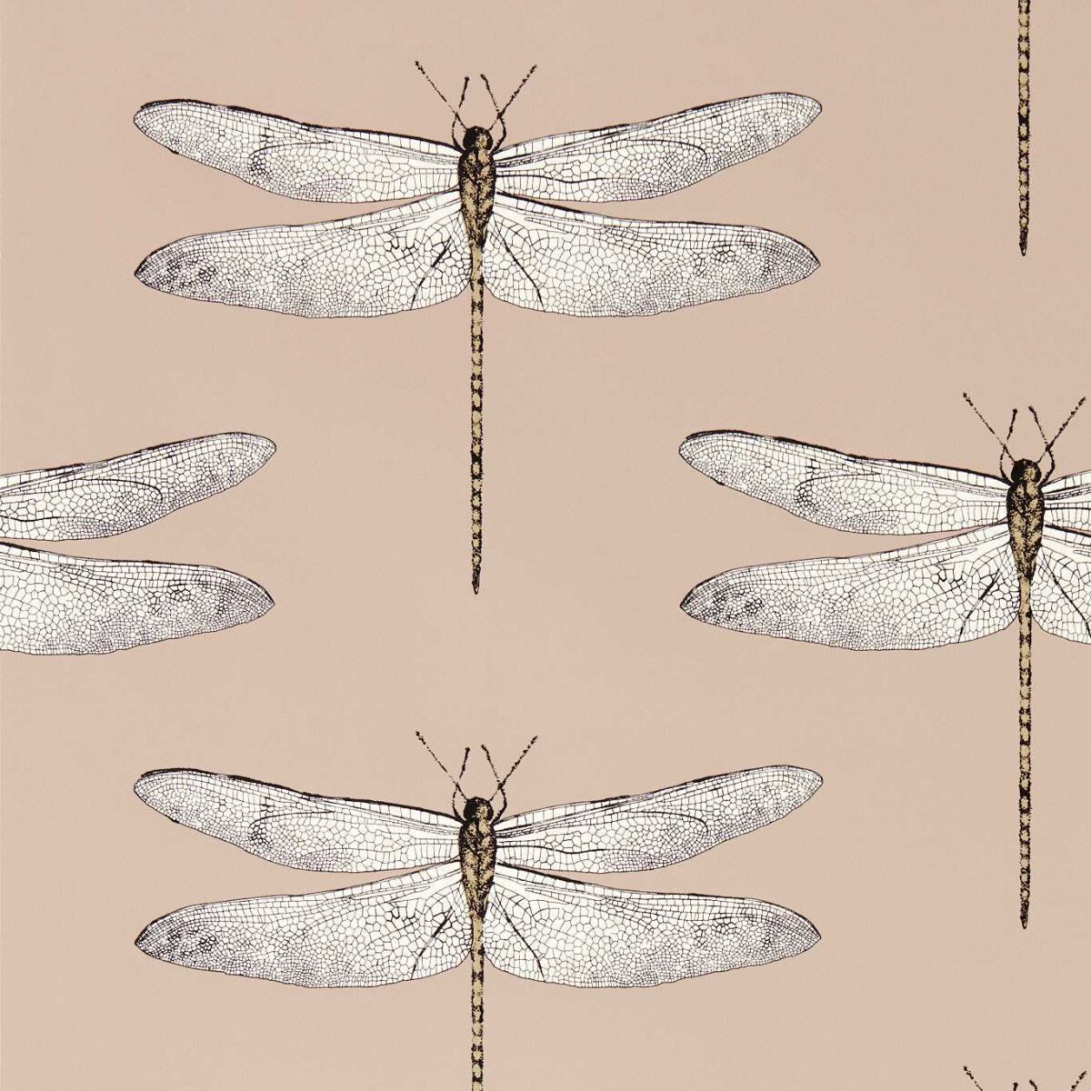 Demoiselle Wallcovering - Positano / First Light / Taupe by Demoiselle Wallcovering - Positano / First Light / Taupe from