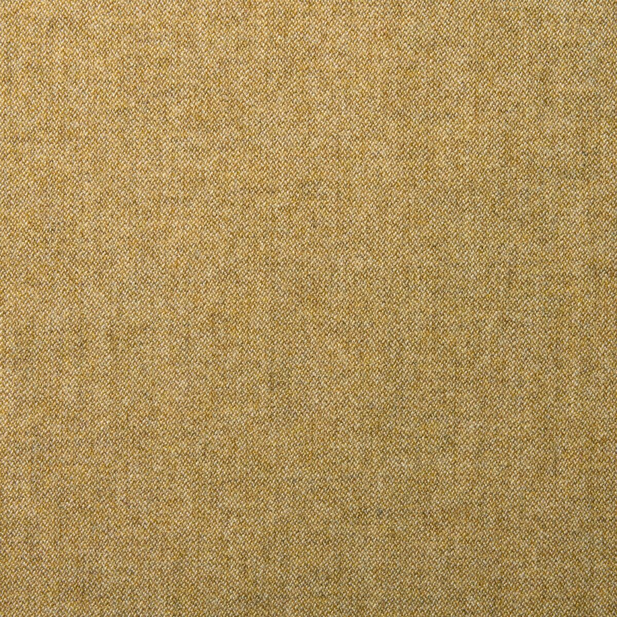 Tay Fabric - Harvest by yellow plain woolen fabric from Linwood Fabrics