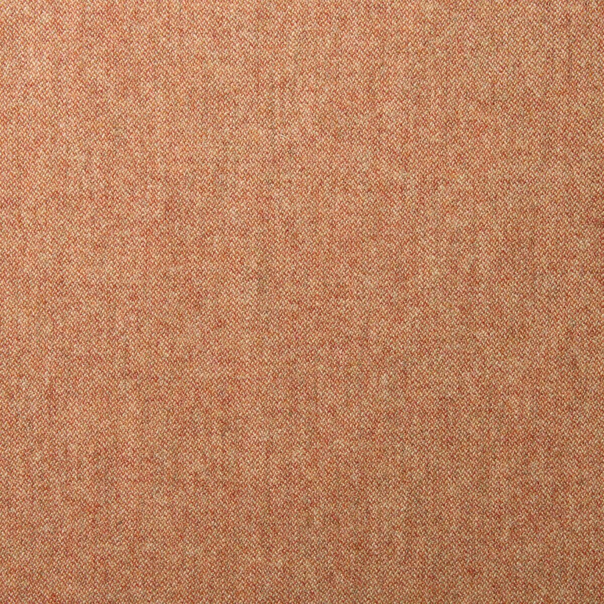Tay Fabric - Sweet Briar by orange plain woolen fabric from Linwood Fabrics