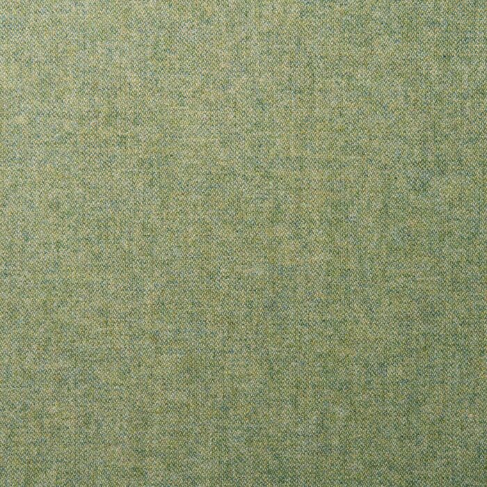 Tay Fabric - Limegrass swatch