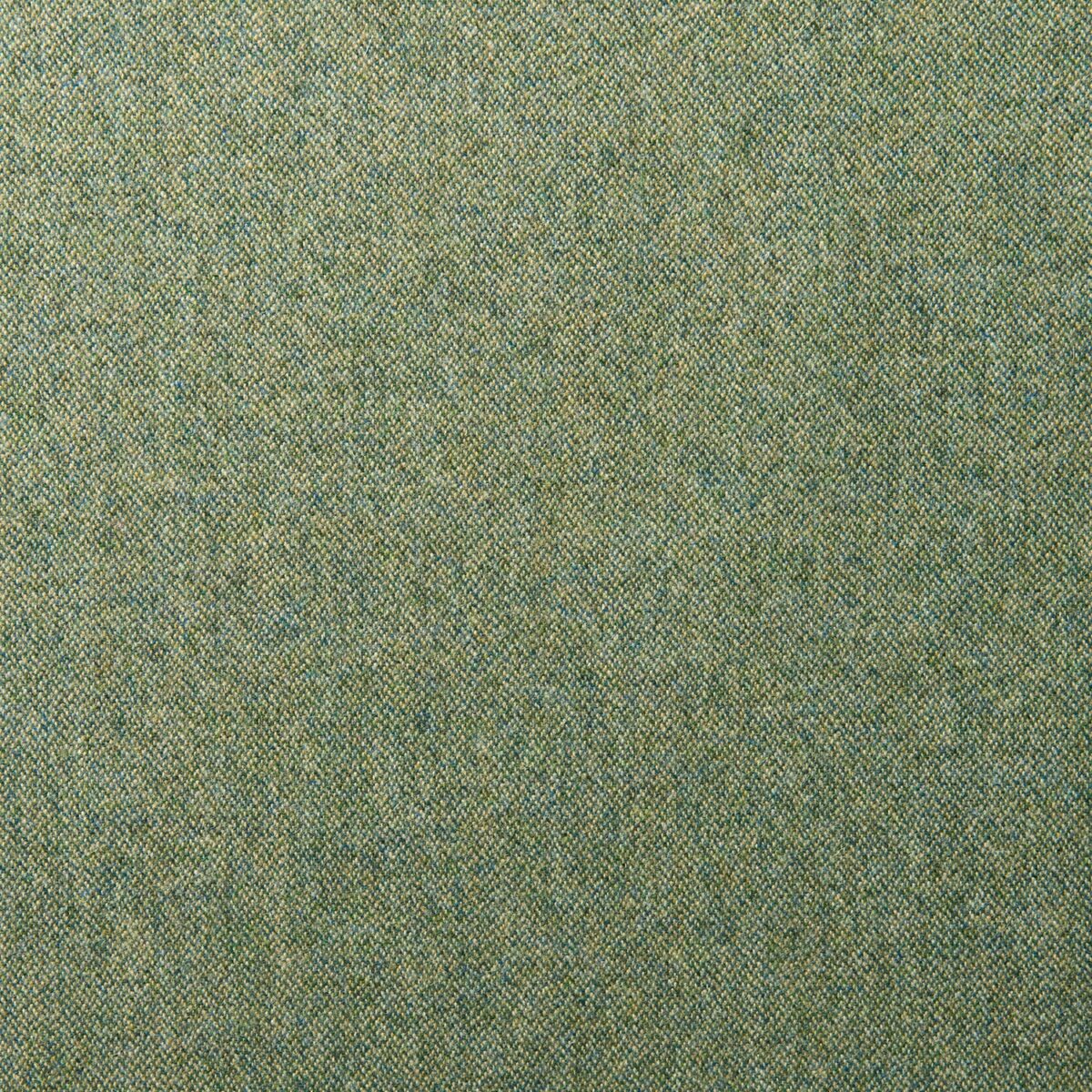 Tay Fabric - Neptune by green plain woolen fabric from Linwood Fabrics
