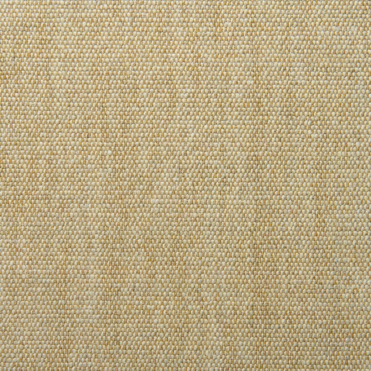Orta Fabric - Blonde by yellow plain woven fabric from Linwood Fabrics