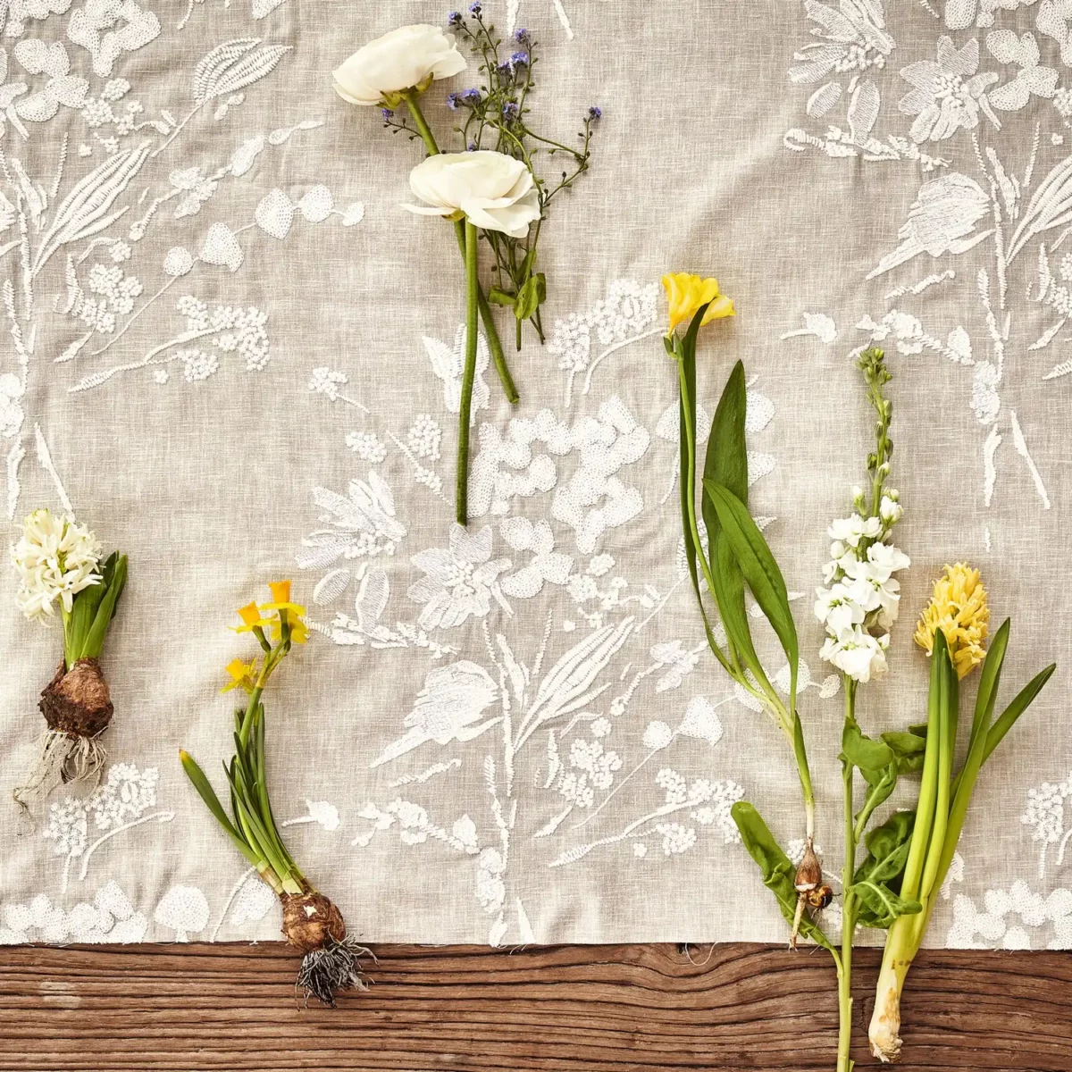 Abloom Fabric - Birch by Abloom Fabric - Birch from