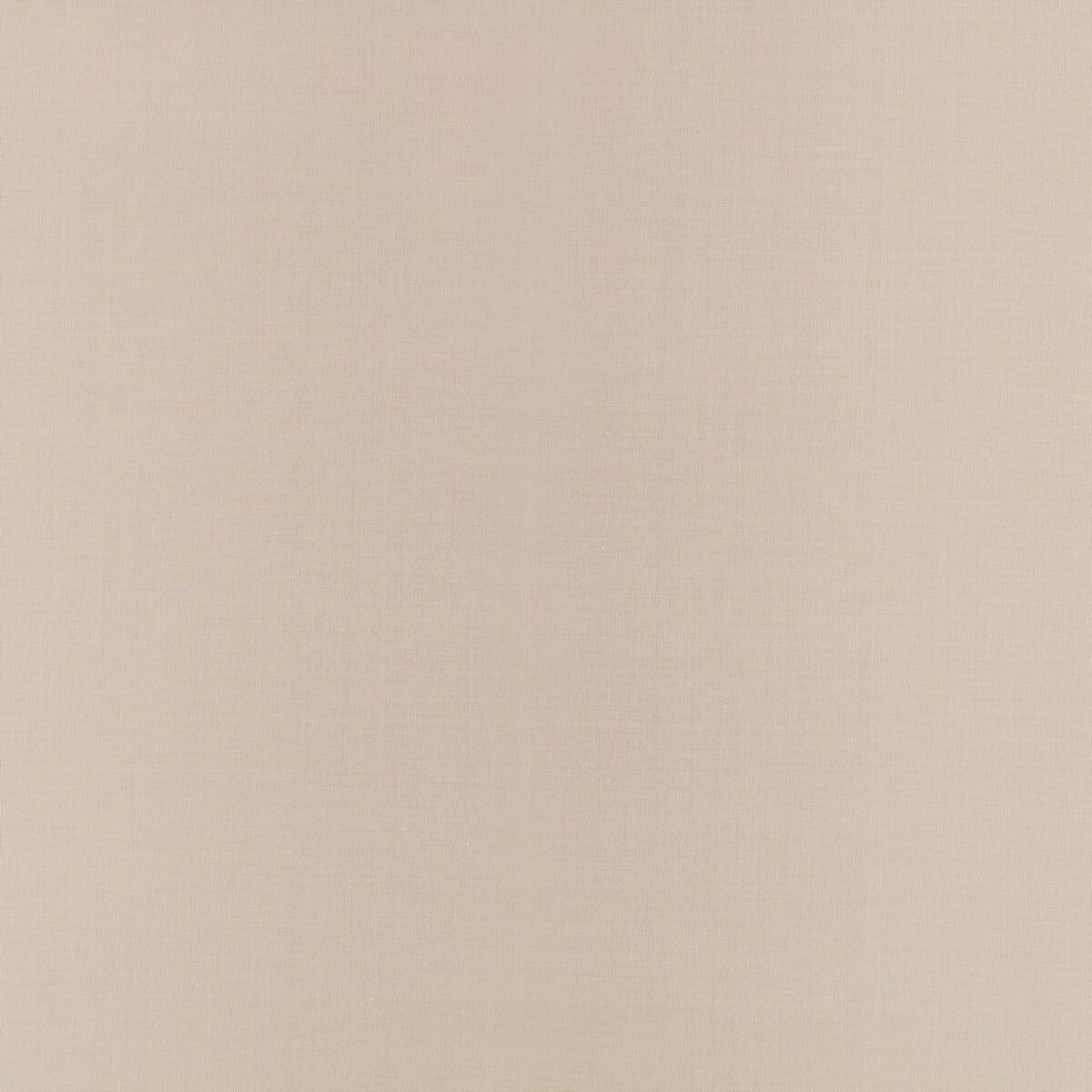 Florence Fabric - Pigeon by neutral plain woven fabric from Villa Nova
